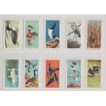 Trade cards, album containing approx. 15 sets and part-sets of bird related cards, various