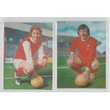 Trade cards, The Sun, 3D Gallery of Football Stars, 'P' size, (set, 50 cards) (vg)