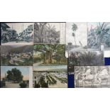Postcards, Jamaica, collection of approx. 25 cards inc. Earthquake Scene (printed), banana plants,