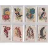 Trade cards, USA, Church & Dwight, a collection of 40 'M' size cards, Beautiful Flowers (9 cards),