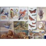 Postcards, Tuck's Oilettes, a collection of 25 cards inc. Birds & Their Eggs (5), wild animals,