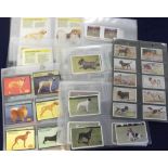 Trade Cards, a collection of dog related cards, sets and part sets inc. Sanders Dogs (set 20 cards),