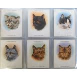 Cigarette & trade cards, album containing a collection of Dog & Cat related cards, sets and part-