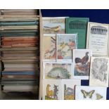 Postcards, a large and comprehensive collection of over 500 cards, mostly published by the British