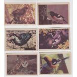 Trade cards, USA, Oak Manufacturing Co, Birds (40 cards) & Animals (21 cards), 'L' size (vg) (61)