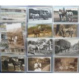 Postcards, Rural selection of approx. 100 cards, RP's and printed inc. working horses, hop-