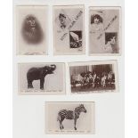 Trade cards, Royal Italian Circus, Advertisement cards Ref HR42 (set 6 cards) (fair/gd)