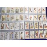 Cigarette cards, CWS, 4 sets, African Types (24 cards), British and Foreign Birds (48 cards), Famous