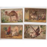 Trade cards, France, 'Halle A La Chaussure' (Hall of Shoes), 38 different embossed cards,