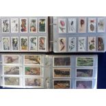 Cigarette & trade cards, a collection of Wild Life and Natural History related cards, sets and