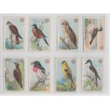 Trade cards, USA, Church & Dwight, Useful Birds of America, 'M' size, three sets, First Series (30