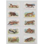 Trade cards, United Confectionery Co, (Hull), Wild Animals of the World, (set, 50 cards) (one