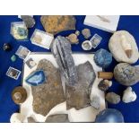 Fossil & mineral collection, a quantity of various fossils, minerals & polished stones, many