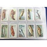 Cigarette & trade cards, Fish & Marine Life, album packed with 100's of cards, sets & part sets inc.