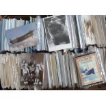 Postcards, large quantity of modern themed cards, various subjects inc. advertising, cats, dogs,