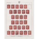 Stamps, collection of QV 1d reds, used, from plate 71-224 (minus 77) on vintage album pages. Mixed