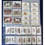 Cigarette cards, Dogs, 3 sets, ITC (Canada) Dogs 2nd Series (50 cards) (vg), Wills, Dogs (50
