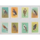 Trade cards, South Africa, Beckett, Birds of South Africa, 1st Series (44/50) & 2nd Series (set,