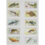 Trade cards, Quorn Specialities, Fish & Game (set, 25 cards) (vg)