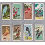 Trade cards, Brooke Bond, USA, Tropical Birds (set, 48 cards) (vg)