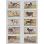 Cigarette cards, Hill's, Breeds of Dogs (set, 20 cards, mixed backs, plus 1 variation card) (some