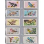 Trade cards, Brooke Bond (Canada), 4 sets, Tropical Birds (top line in black) (48 cards), Song Birds