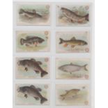 Trade cards, USA, Church & Dwight, Fish Series, 'M' size (19/30) (gd)