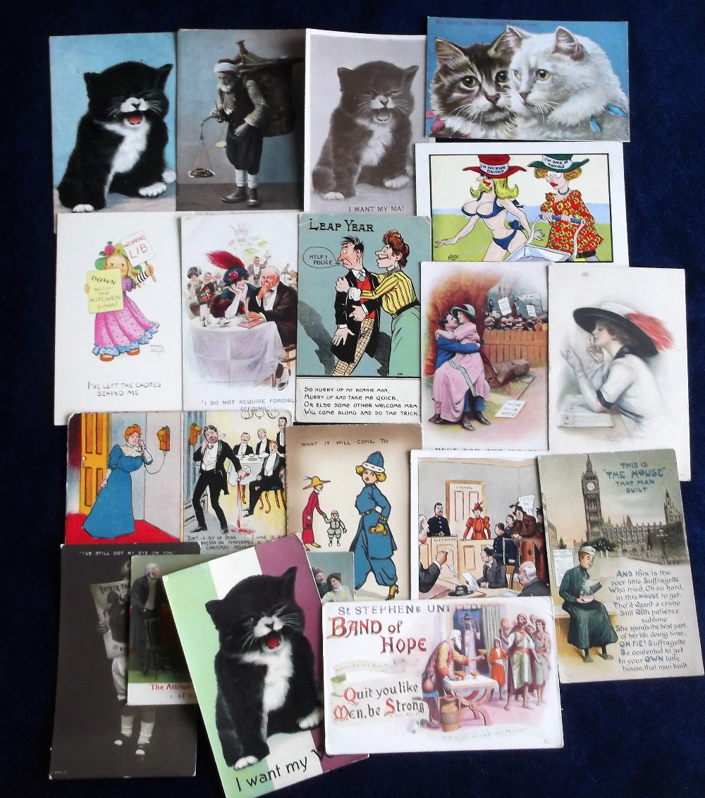 Postcards, Women's Suffrage, collection of 18 cards, mostly comedy, Cat 'I want my Vote!', 'This