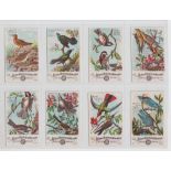 Trade cards, USA, Church & Dwight, Beautiful Birds of America, 'M' size (47/60) (some slight age