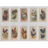 Cigarette cards, CWS, Poultry (set, 48 cards) (gd)