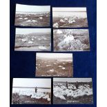 Postcards, Dorset, Abbotsbury Swannery, 7 RP's, each stamped to back 'J.R. Green, Evershot' (gd) (7)