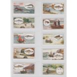 Cigarette cards, Mitchell's, Angling (set, 25 cards) (vg)