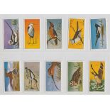 Trade cards, Sweetule, Birds & Their Haunts (set, 25 cards) (vg/ex)