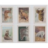 Trade cards, USA, Frostick, Animal Cards (set, 44 cards) (a few with minor faults, mostly gd, some