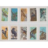 Cigarette cards, Brooke Bonds (Canada), Canadian/American Songbirds (set, 48 cards) (vg)