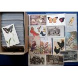 Postcards, a mixed age collection of approx. 400 cards of animals inc. zoo, wild birds, dogs,
