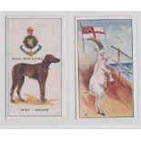 Cigarette cards, Robinson & Sons, Regimental Mascots, two cards, nos 2 & 8 (vg) (2)