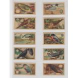 Trade cards, Thomson, British Birds & Eggs (set, 20 cards) (slight acm, vg)