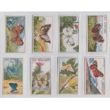 Trade cards, Cassell's, Butterflies & Moths Series, 'M' size (set, 12 cards) (gd)