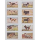 Cigarette cards, Scottish CWS, Dogs (set, 20 cards) (gd/vg)