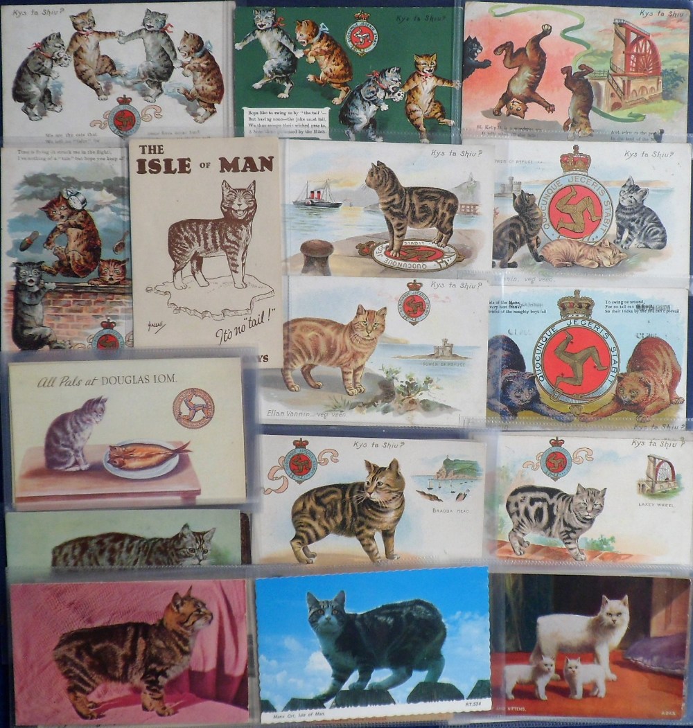 Postcards, an interesting selection of approx. 40 cards of Manx cats (no tail). A few RP's, pull-