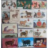 Postcards, an interesting selection of approx. 40 cards of Manx cats (no tail). A few RP's, pull-