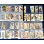 Trade cards, selection of part sets, Chiver's Wild Wisdom in Africa (13 plus 2 duplicates), Fry's