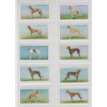 Cigarette cards, Player's, Famous Irish Greyhounds, (set, 50 cards) (vg)