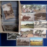 Postcards, a good mixed age subject collection of approx. 300 cards inc. Cattle (Hassall, SMG cattle