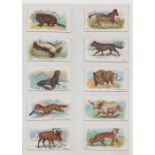 Cigarette cards, Wills (Overseas), Wild Animals of the World (Star, Circle & Leaves) (49/50, missing