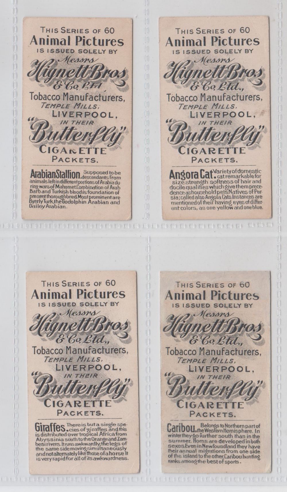 Cigarette cards, Hignett's, Animal Pictures, four cards, Angora Cat, Arabian Stallion, Cariboo & - Image 2 of 2