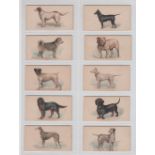 Cigarette cards, USA, Goodwin, Dogs of the World (Captions back only), ten cards, Black & Tan