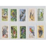 Trade cards, Brooke Bond, (Rhodesia), African Birds (set, 50 cards) (vg)