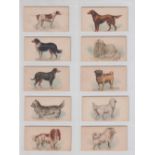 Cigarette cards, USA, Goodwin, Dogs of the World (Captions back only), ten cards, Irish Setter,